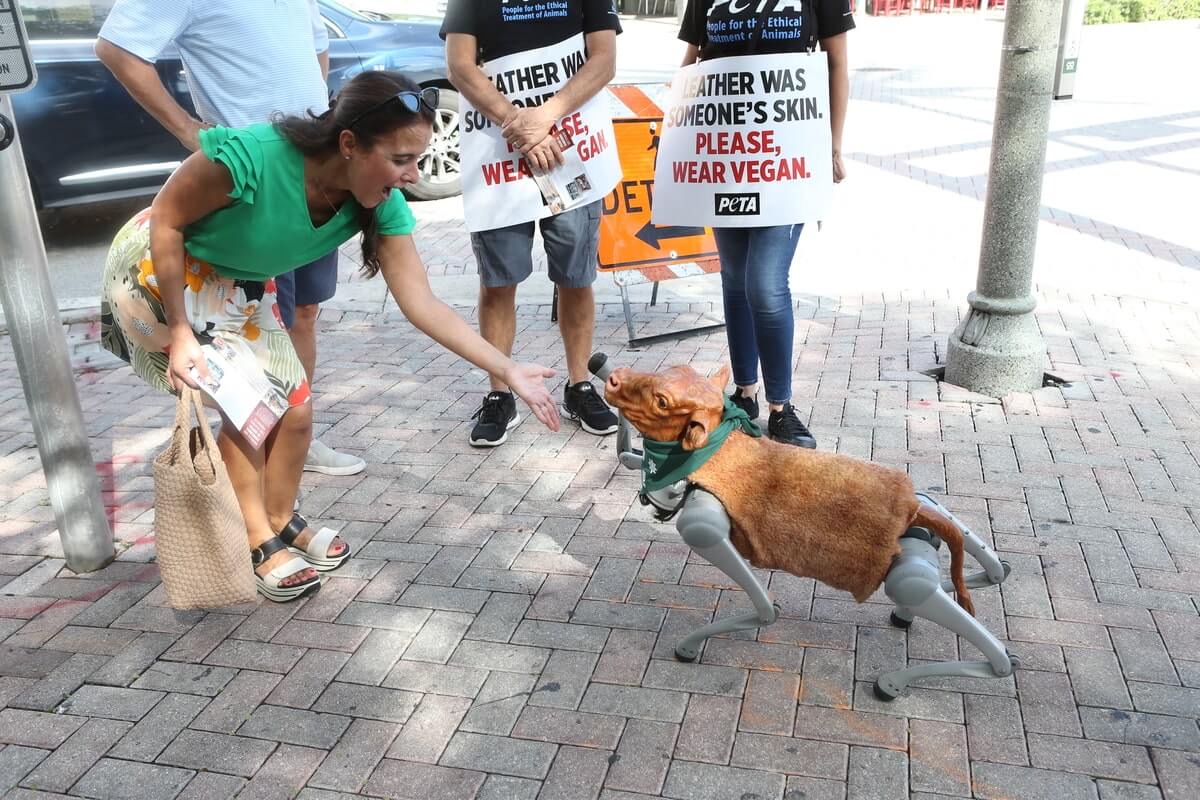 PETA fait défiler un veau robotisé à New York pour dénoncer l’industrie du cuir