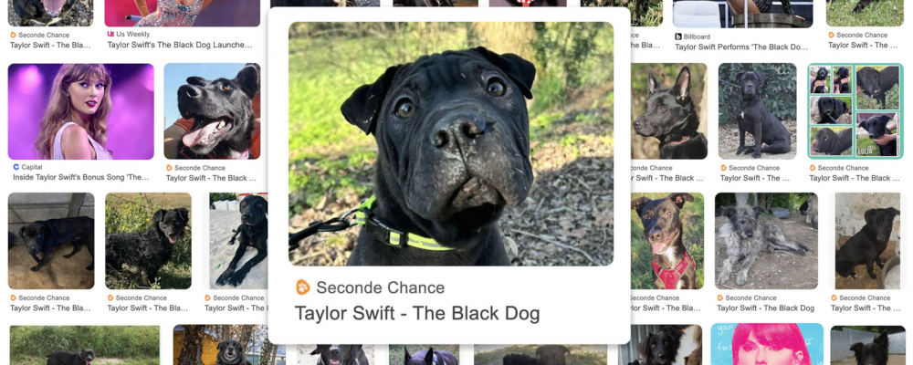 dans-ta-pub-taylor-swift-black-dog-betc-1